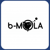 b-mola 